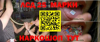 гидропоника Бийск