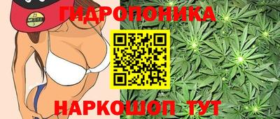 гидропоника Бийск
