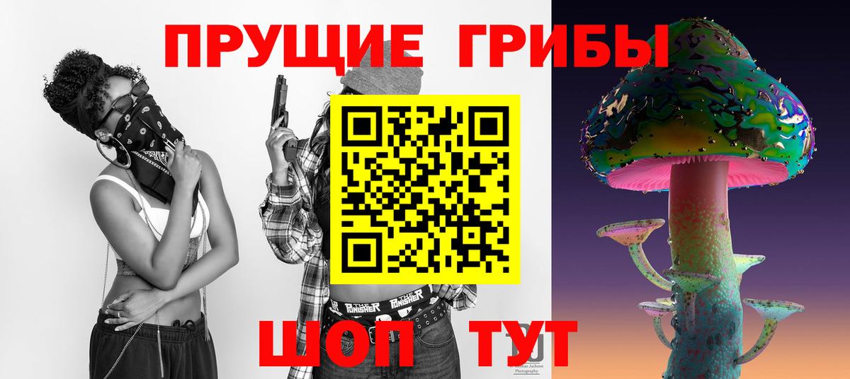 Галлюциногенные грибы Psilocybine cubensis Кингисепп