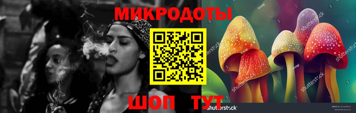 Кингисепп  Псилоцибиновые грибы MAGIC MUSHROOMS  Вход с VPN 